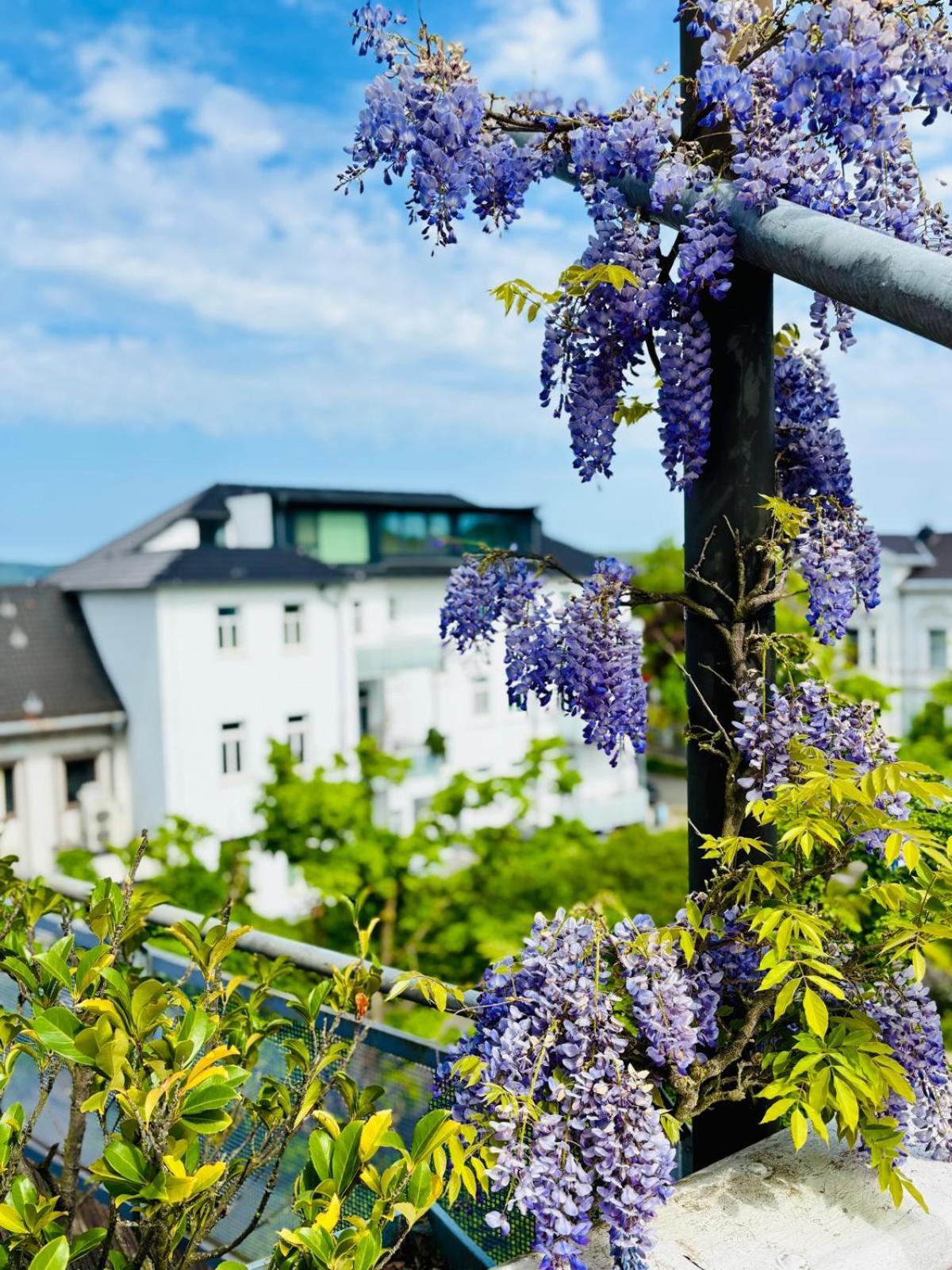 Pension Am Sueltebrunnen Bad Oeynhausen Zewnętrze zdjęcie